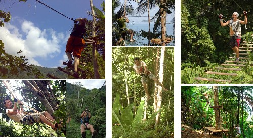 treetop park koh chang